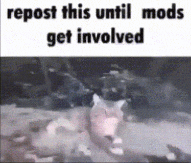 Repost Until Mods Get Involved GIF - Repost Until Mods Get Involved GIFs