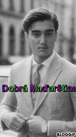 a black and white photo of a man in a suit and tie with the words " dobrá madarstina " on the bottom