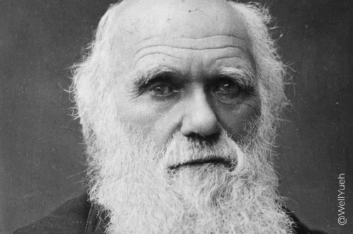Darwin Charles GIF - Darwin Charles Evolution GIFs