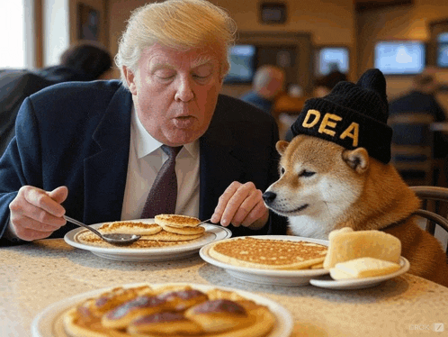 a dog wearing a dea hat is eating pancakes next to a man