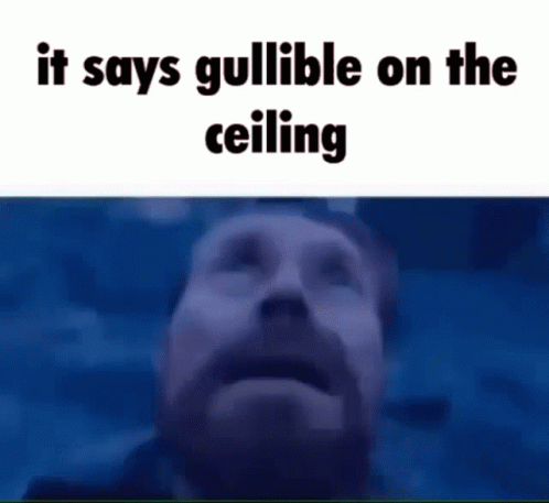 Gullible Ceiling GIF