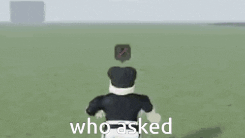 a person in a video game is standing in a field with the words `` who asked '' written on it .