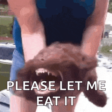 a person is holding a brown dog with its mouth open and says please let me eat it .