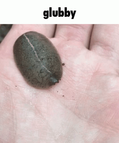 Glubby Slug GIF - Glubby Slug GIFs