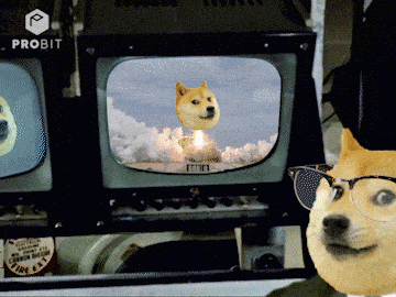 a doge wearing glasses and a hat looks at a rocket launch on a probit screen