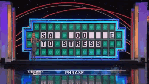a woman stands in front of a wheel of fortune that says phrase