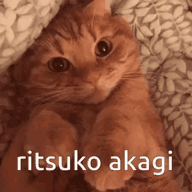 Ritsuko Akagi Ritsuko GIF - Ritsuko Akagi Ritsuko Ilove Her GIFs