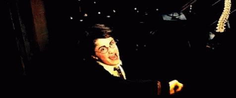 Harry Potter Harrypottermagic GIF - Harry Potter Harrypottermagic Mugglefucker GIFs