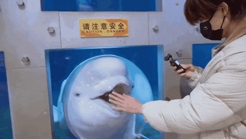 a woman touches a dolphin in front of a sign that says " caution danger "