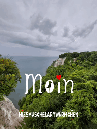 Moin Anker GIF - Moin Anker Ostsee GIFs