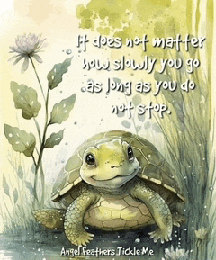 an angel feathers tickle me poster with a turtle on it