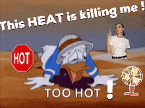 Heat So Hot Right Now GIF - Heat So Hot Right Now Sweat GIFs
