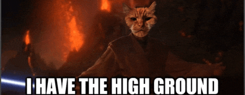 a picture of a cat with the words i have the high ground on it