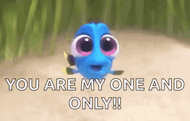 dory from the movie finding nemo is walking on the beach and saying `` you are my one and only ! ''