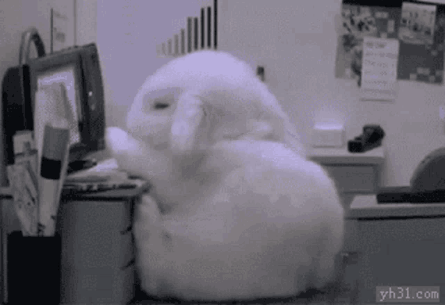 a stuffed animal sits on a desk with yh31.com written on the bottom right