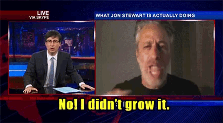 jon stewart is being interviewed by a newscaster and says no i did n't grow it