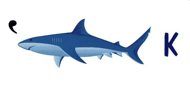 a picture of a shark with the letter k next to it