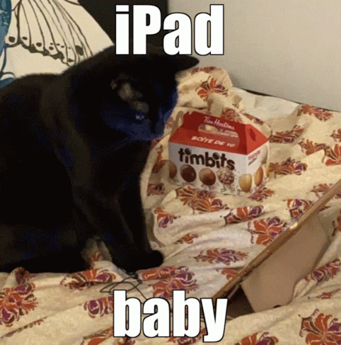 Me Cat Toothless Ipad Baby GIF - Me Cat Toothless Ipad Baby Ipad GIFs