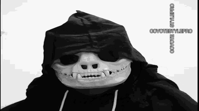 Reaper Grim Reaper GIF - Reaper Grim Reaper Skeleton GIFs