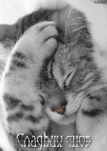 a black and white photo of a cat sleeping with the words " clagbu chos " written on the bottom