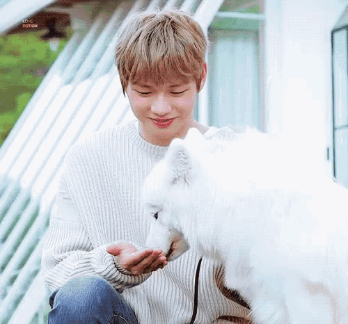 a young man in a white sweater is holding a white dog in his hands