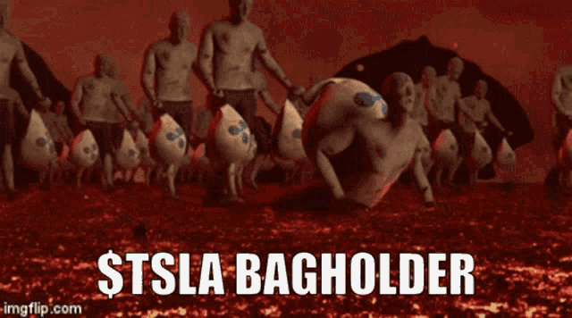 Tsla Bagholder GIF - Tsla Bagholder GIFs