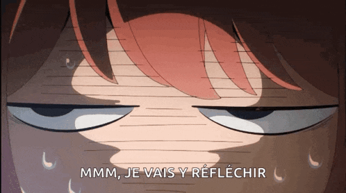 a close up of a person 's face with the words " mmm je vais y reflechir " above it