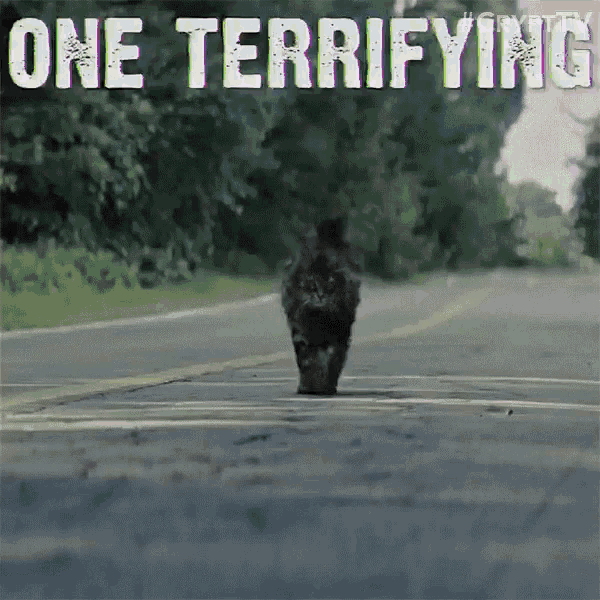 One Terrifying Movie Experience Modern Horror GIF - One Terrifying Movie Experience Modern Horror Classic GIFs