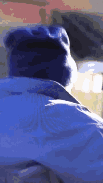 a close up of a person wearing a blue jacket