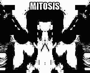 a black and white photo of a skull with the word mitosis written on it .