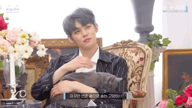 a man is sitting in a chair holding a cat and the word big hit is on the bottom right