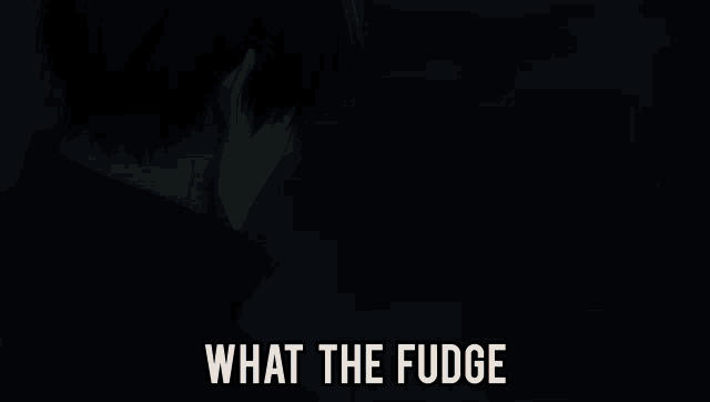 a picture of a boy with the words " what the fudge " on it