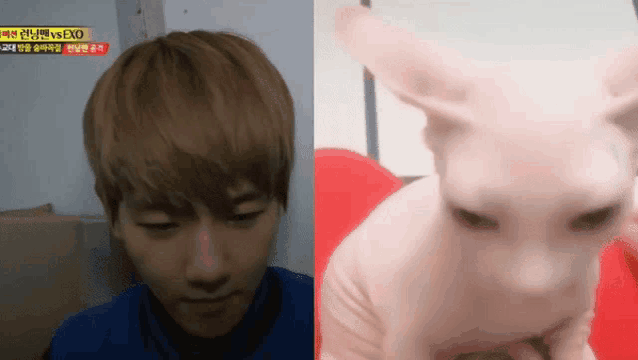 a man and a cat are next to each other