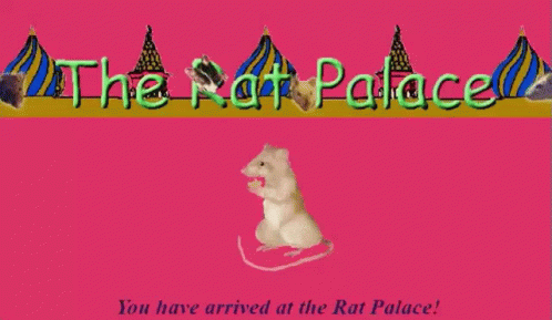 Rat Palace GIF - Rat Palace GIFs