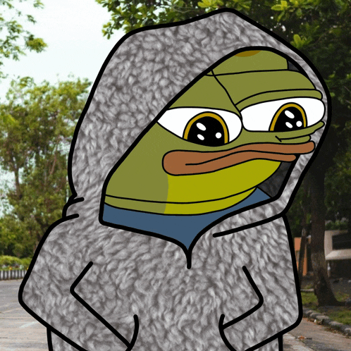 a cartoon of a frog wearing a hoodie