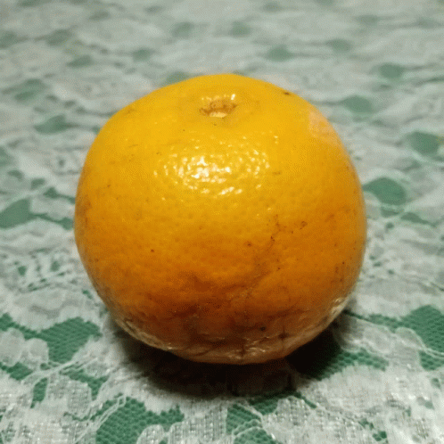 Goodluck Orange GIF - Goodluck Orange GIFs