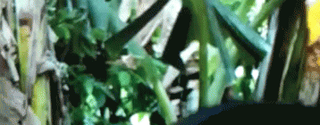 Monday Leaves GIF - Monday Leaves GIFs