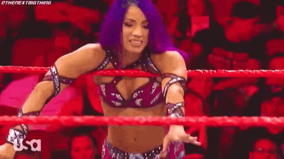 a woman with purple hair is standing in a wrestling ring with a crowd watching .