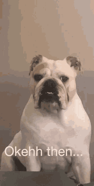 a picture of a dog with the words okehh then written below it