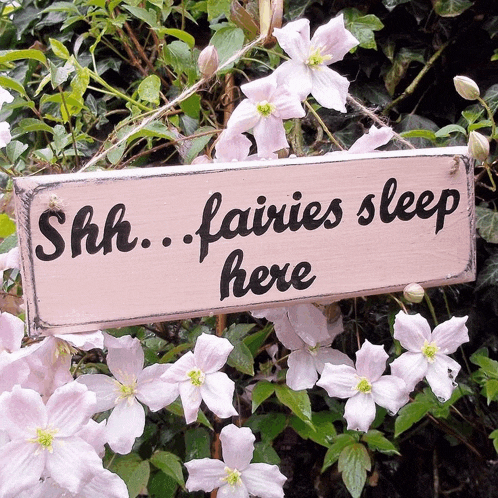 a sign that says ' shh fairies sleep here ' hangs from a tree