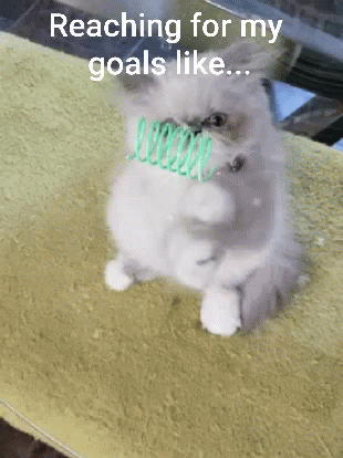 Goals Kitty GIF - Goals Kitty Cat GIFs