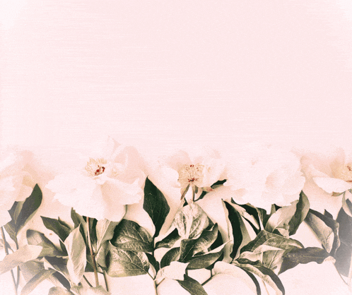 a greeting card with flowers and the words 8-mi mapt