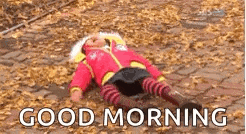a baby is laying on the ground in a pile of leaves and says `` good morning '' .