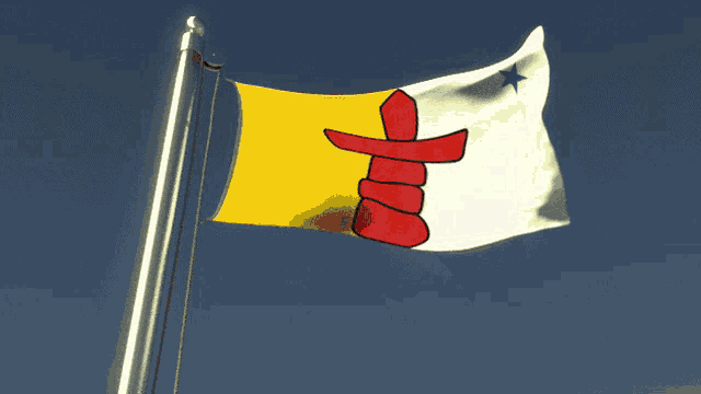 a yellow and white flag with a blue star on it