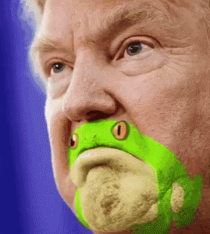 Frog Mouth Open GIF - Frog Mouth Open Donald Trump GIFs