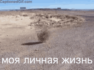 a picture of a desert with captionedgif.com written on the bottom