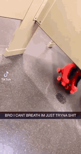 a screenshot of a bathroom stall with a caption that says " bro i can t breath im just tryna shit "