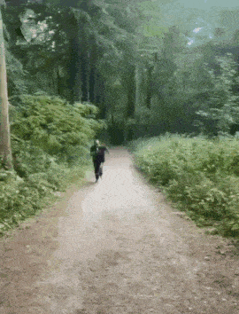 a person is running down a dirt road in the woods