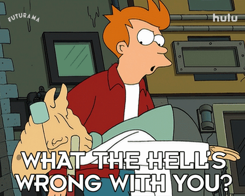 What The Hell'S Wrong With You Philip J Fry GIF