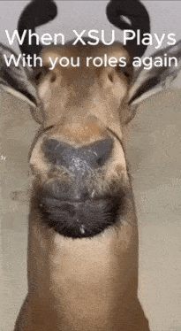 a picture of a deer with the words when xsu plays with you roles again